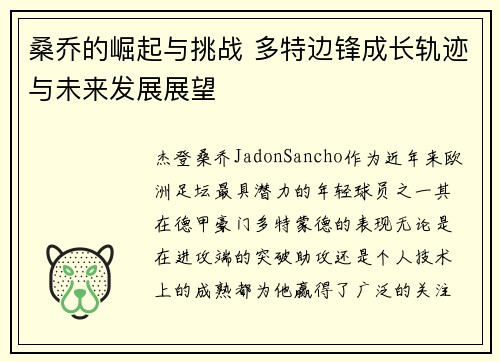 桑乔的崛起与挑战 多特边锋成长轨迹与未来发展展望 桑乔的崛起与挑战 多特边锋成长轨迹与未来发展展望