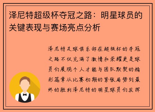 泽尼特超级杯夺冠之路：明星球员的关键表现与赛场亮点分析