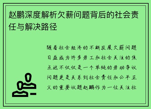 赵鹏深度解析欠薪问题背后的社会责任与解决路径